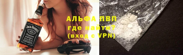 гидра Аркадак