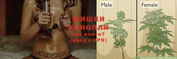 гидра Аркадак