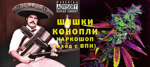 индика Балахна