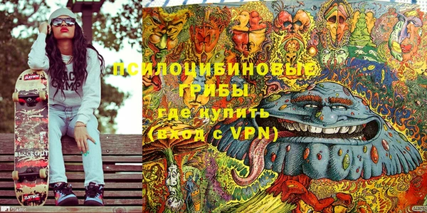PSILOCYBIN Шилка