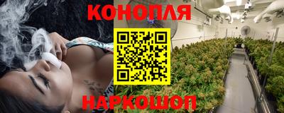 mdpv Рыбинск