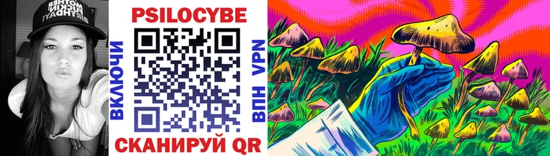 где продают наркотики  Шатура  Псилоцибиновые грибы прущие грибы 