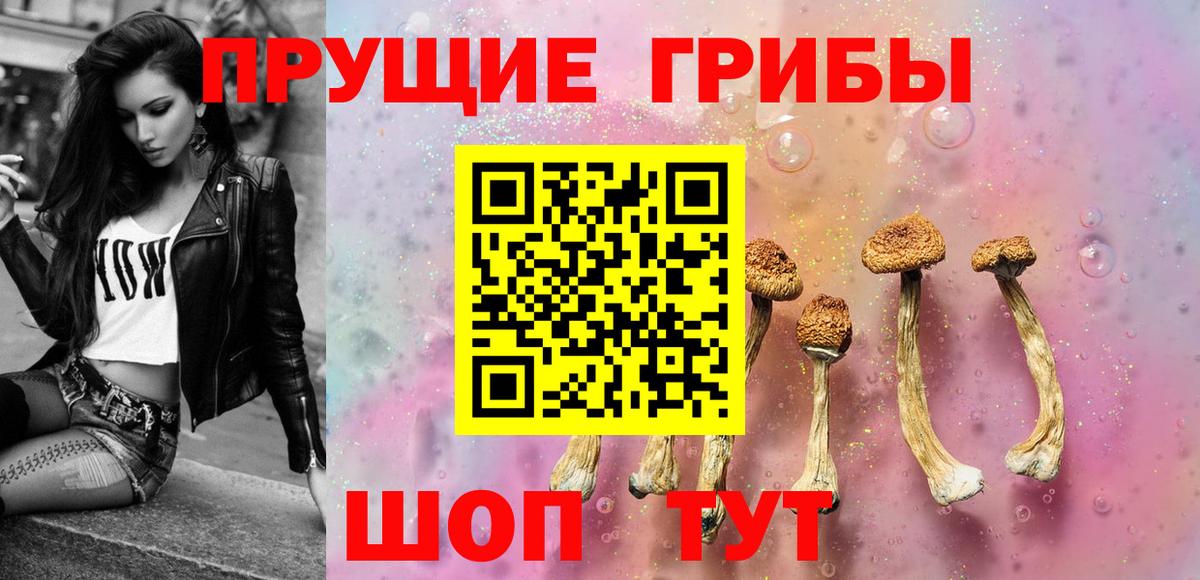 Псилоцибиновые грибы мицелий  Вход с VPN  Шатура  купить   Галлюциногенные грибы Psilocybine cubensis 