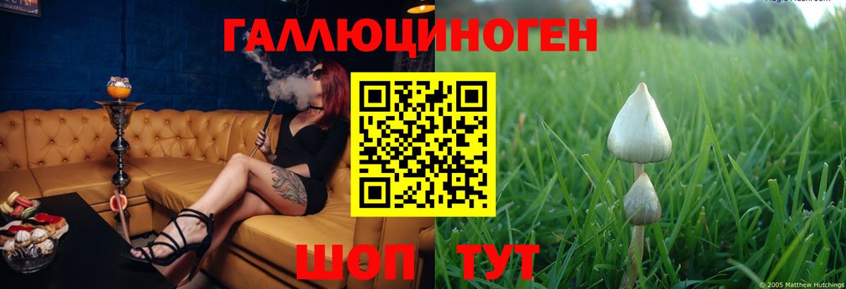Галлюциногенные грибы прущие грибы Шатура